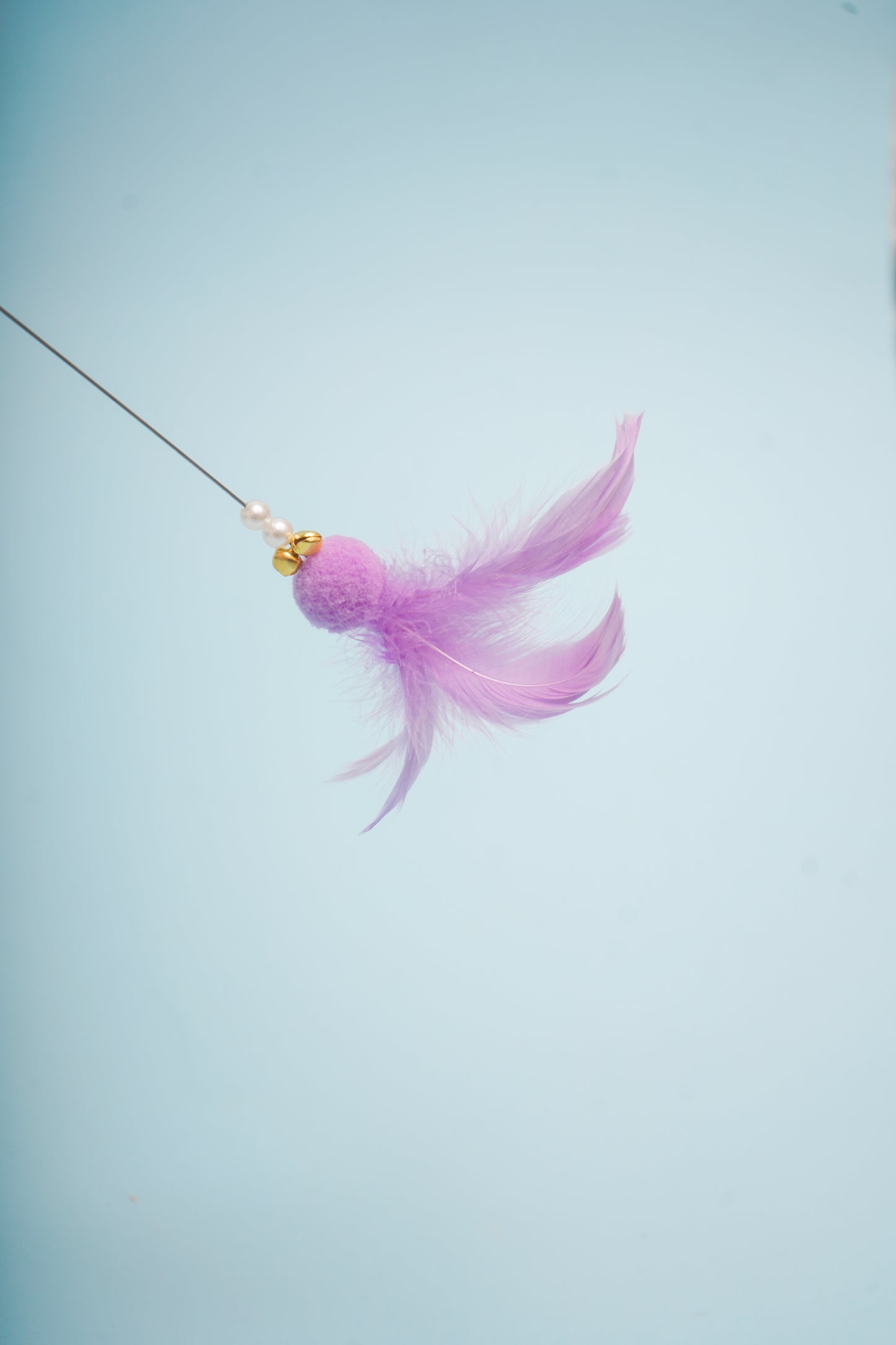 Hello Lavender