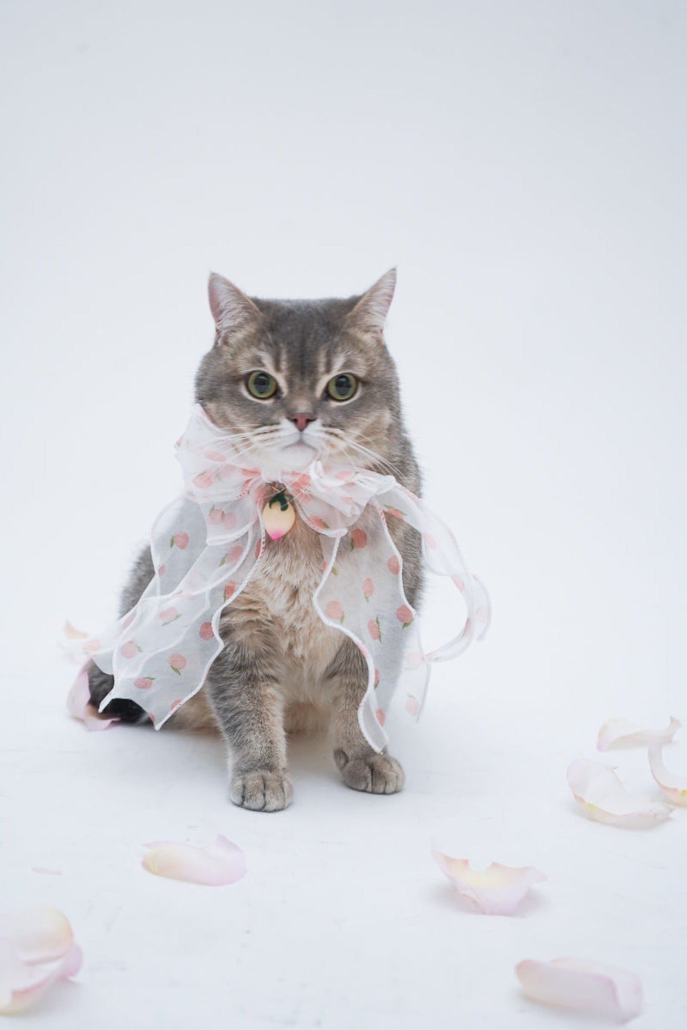 Peach Dream Bowtie Collar For Cat
