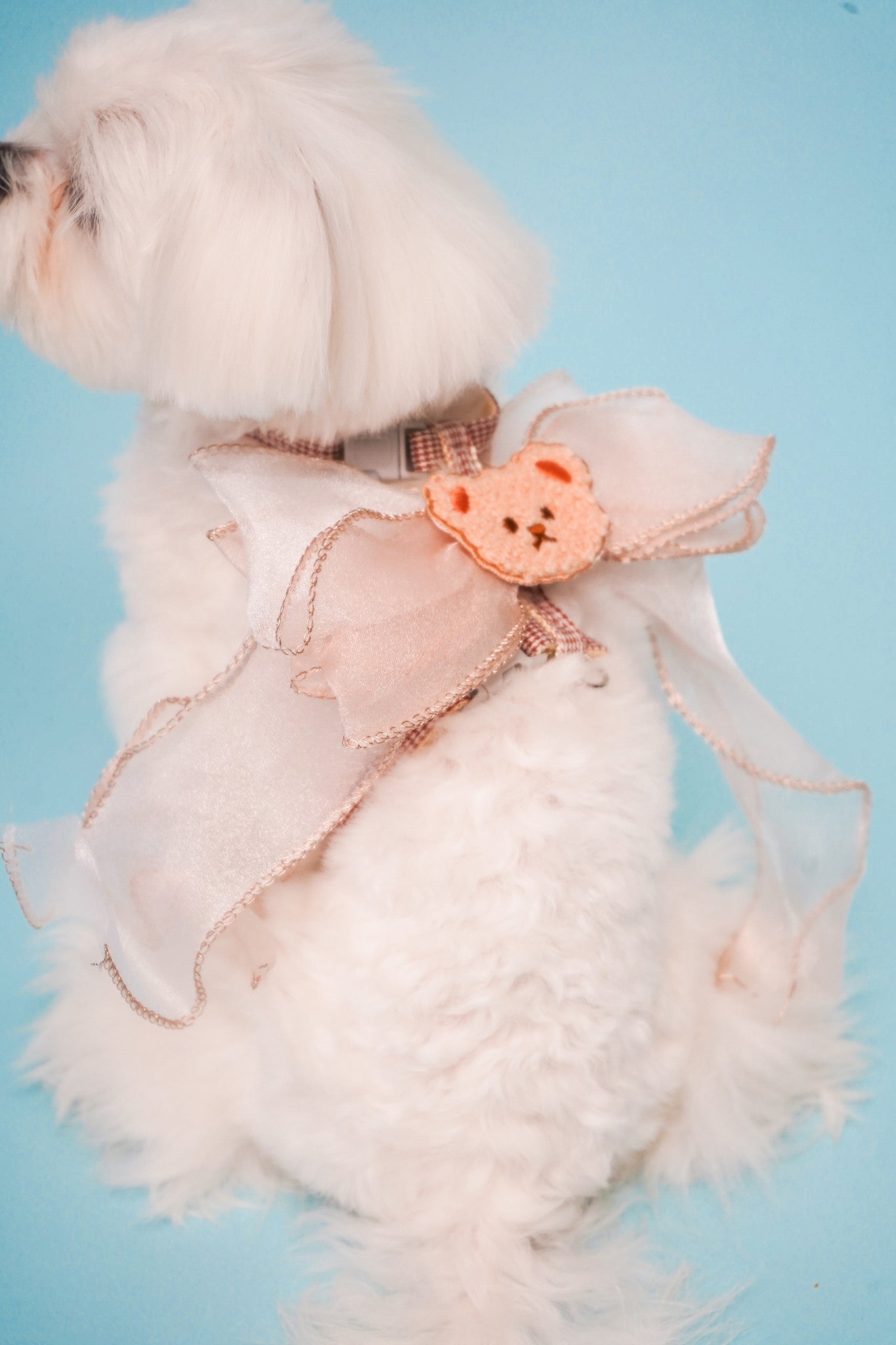 Teddy Bear Harness For Dog (leash included)