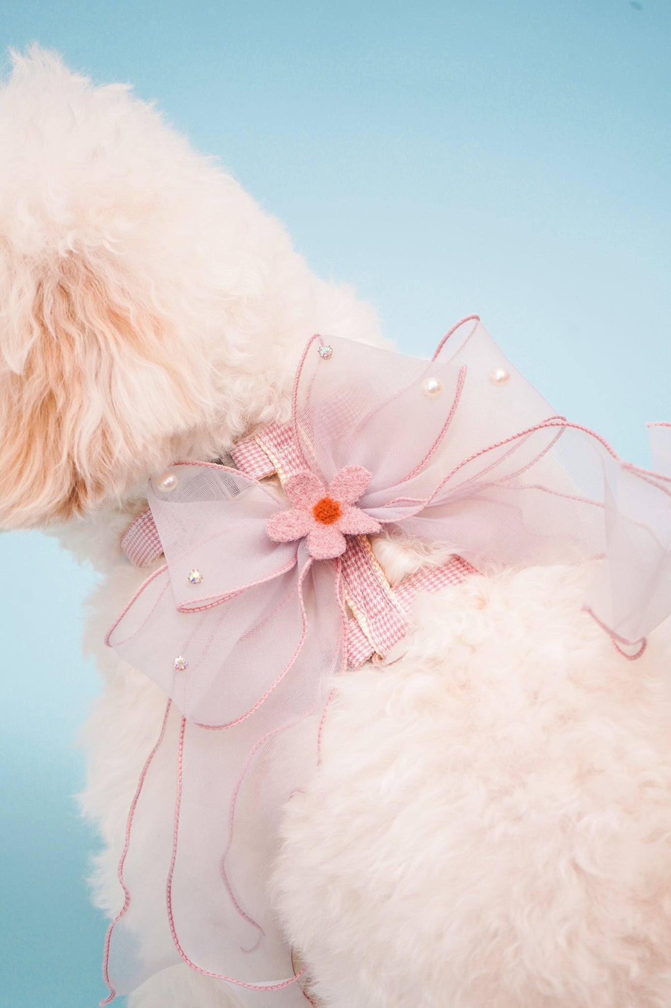 Cherry Blossom Harness Set For Dog (leash included)