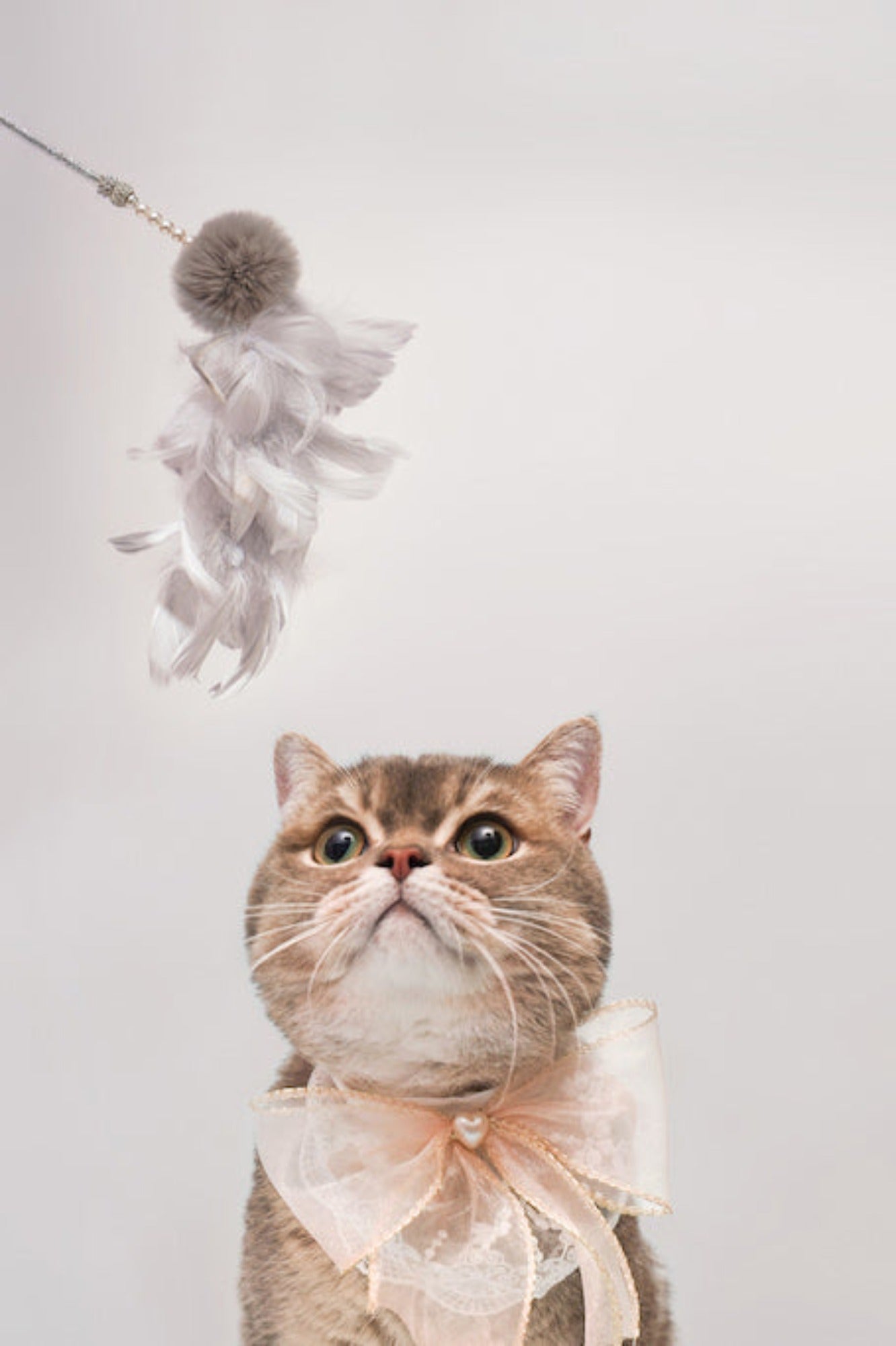 Deluxe Feather Delight