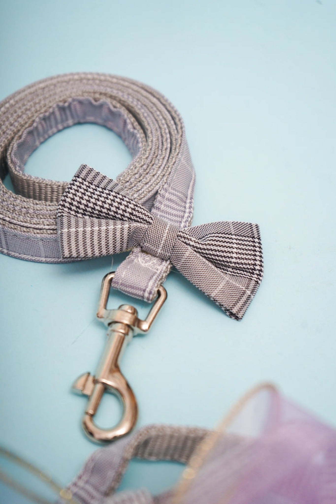 Gradient Mesh Butterfly Harness For Dog (leash included)