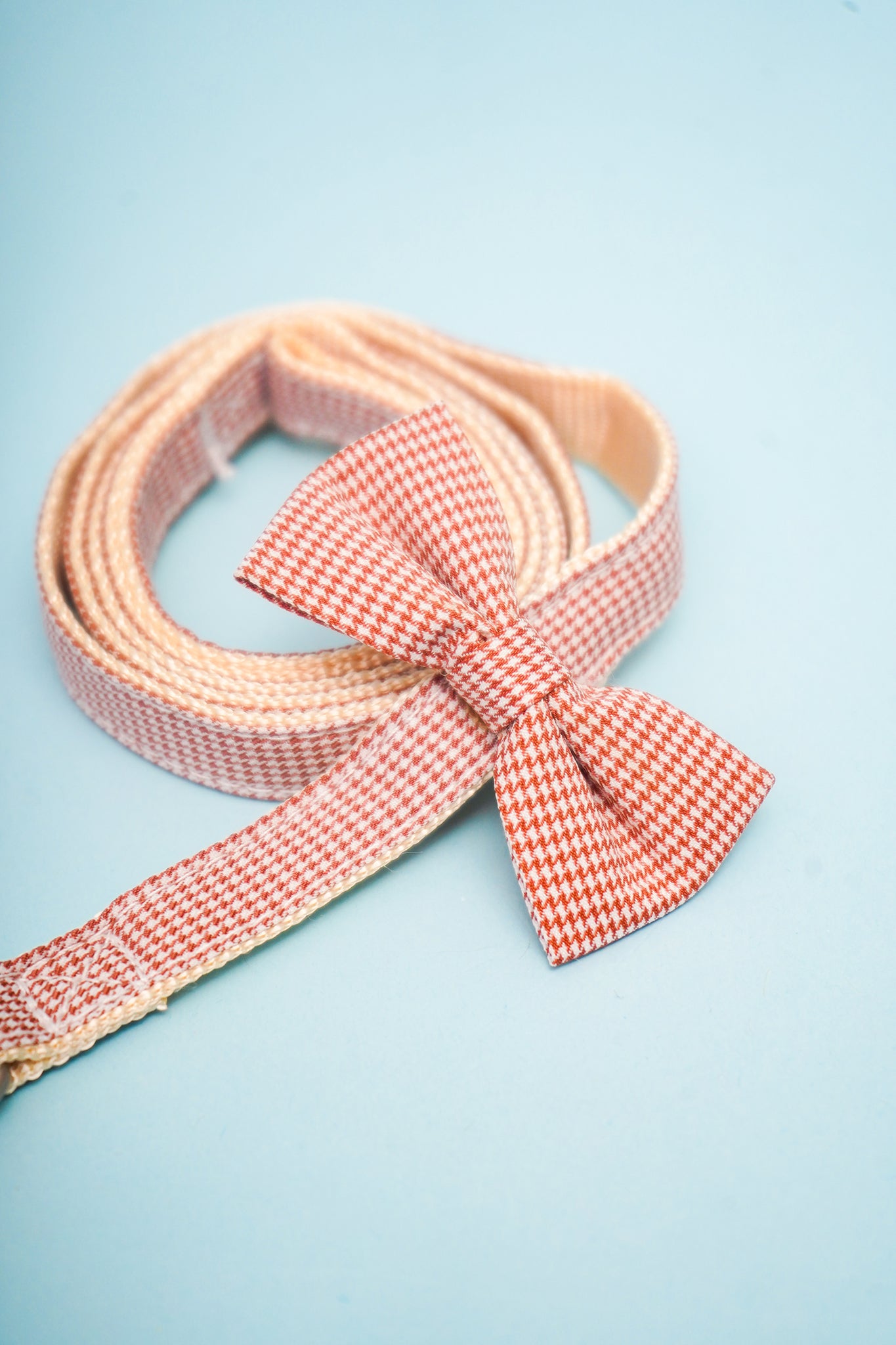 Cherry Blossom Harness Set For Dog (leash included)