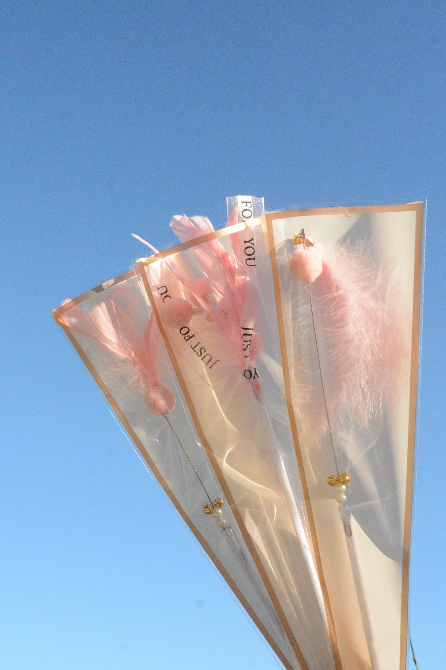 Cat Teaser Bouquet Wrapping