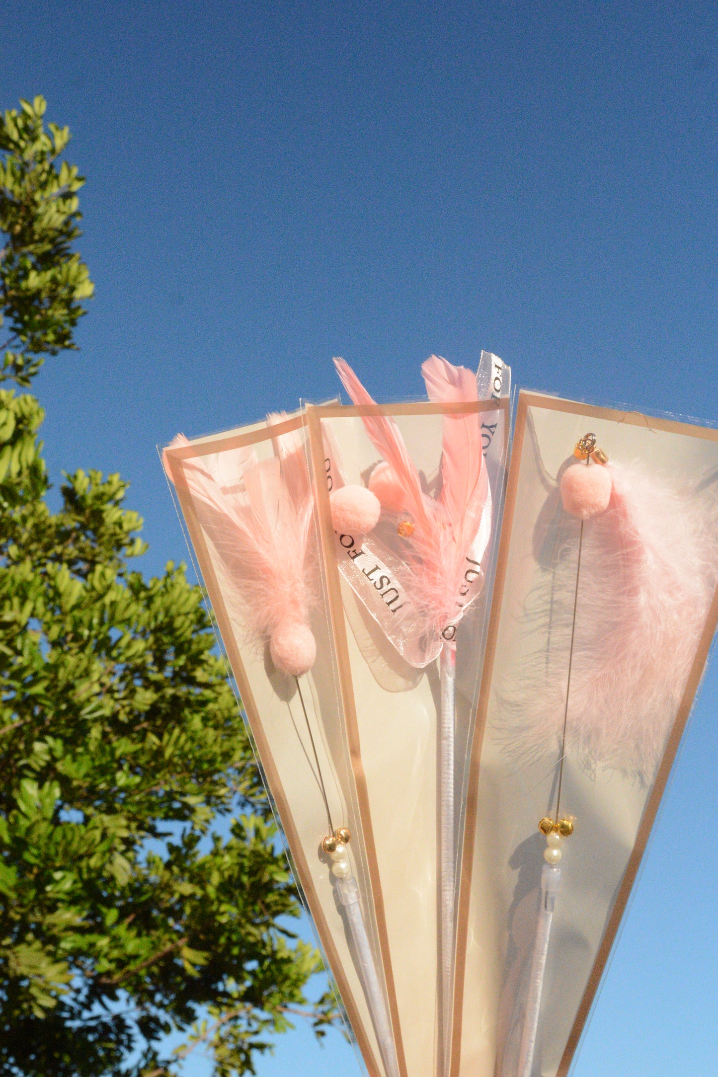 Cat Teaser Bouquet Wrapping