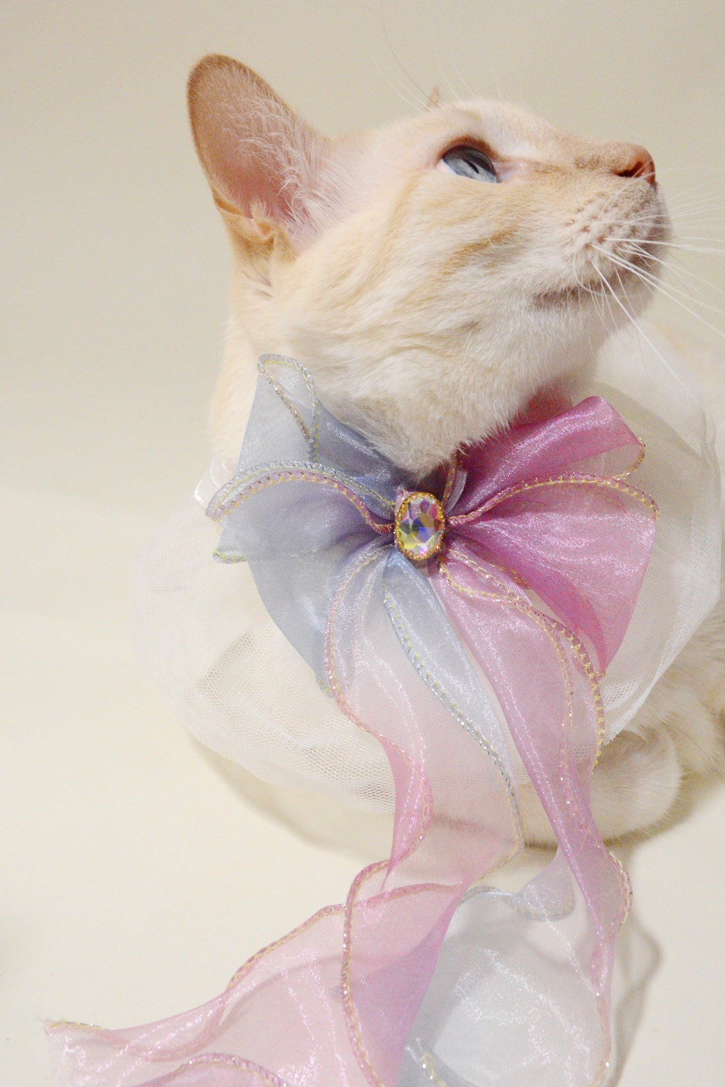 Cinderella’s Scarf For Cat