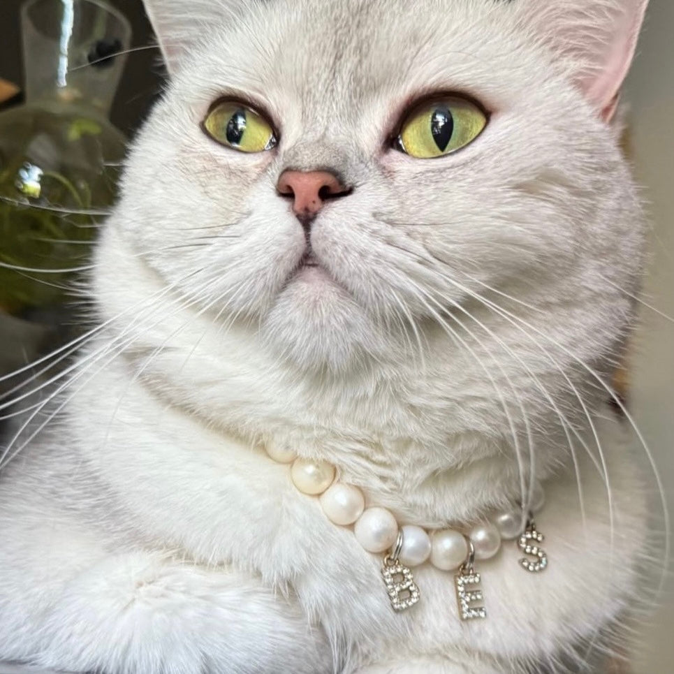 Purry Purry Breakaway Genuine Freshwater Pearl Adjustable Cat Necklace – Customizable