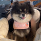 Purry Purry Customizable Dog Harness Set – Personalized Patches + Matching Leash, Adjustable