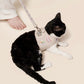 Purry Purry Custom Patch Cat Harness Set – Personalized Escape-Proof Harness + Matching Leash