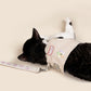 Purry Purry Custom Patch Cat Harness Set – Personalized Escape-Proof Harness + Matching Leash