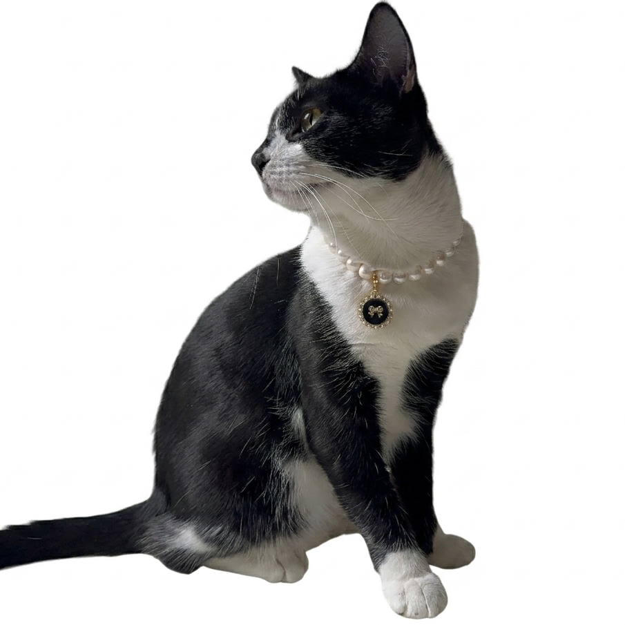 Purry Purry Breakaway Genuine Freshwater Pearl Adjustable Cat Necklace – Customizable
