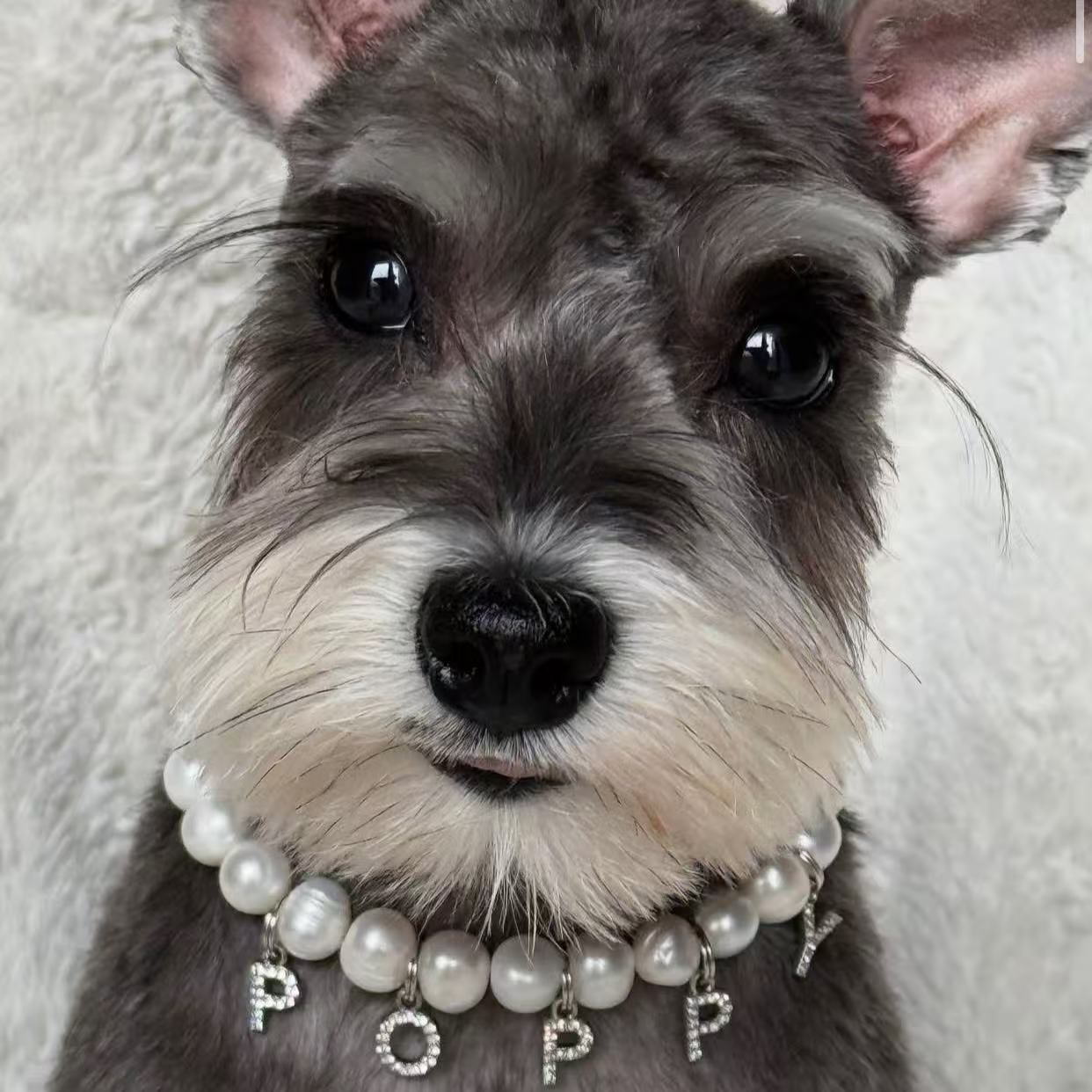 Purry Purry Genuine Freshwater Pearl Adjustable Dog Necklace – Customizable Charms