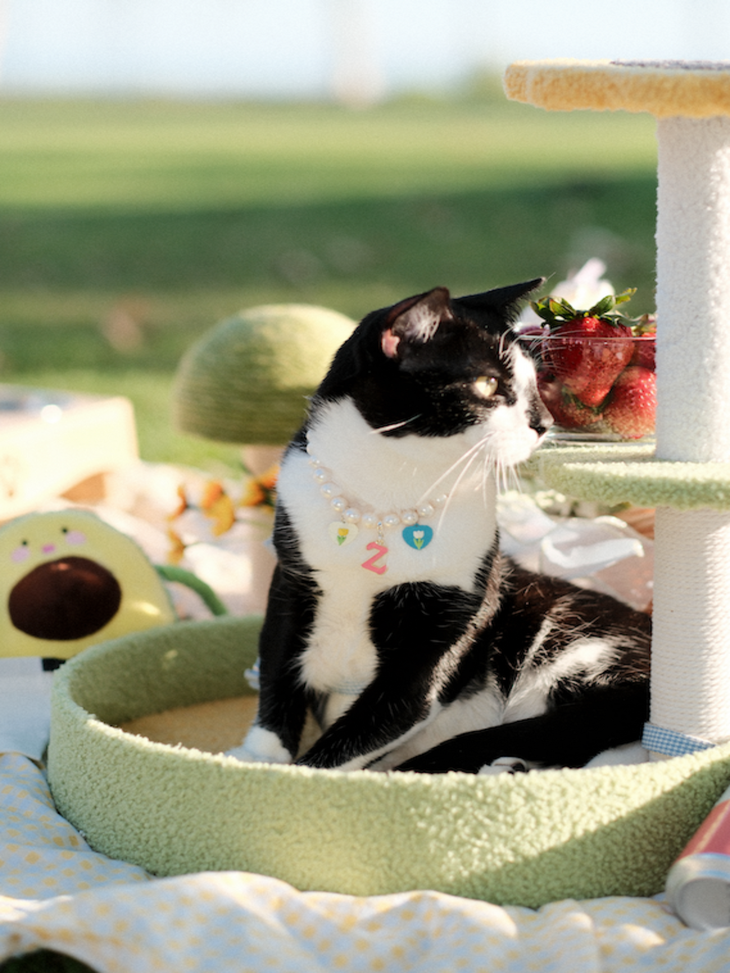 Customizable Freshwater Pearl Necklace for Cats - view 2