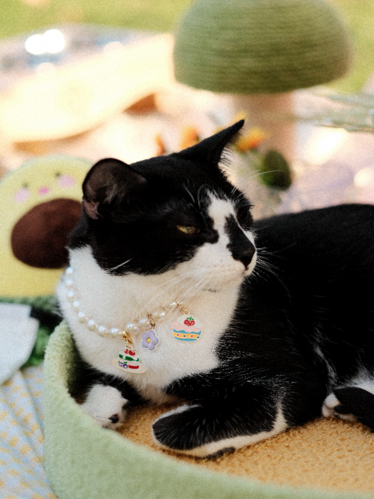 Breakaway Faux Pearl Necklace for Cats (Wholesale) - view 3 | PurryPurry