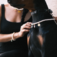 Customizable Faux Pearl Necklace for Dogs (Wholesale) - view 3 | PurryPurry