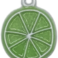 Cartoon Fruit Summer Charm Collection