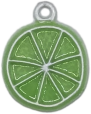 Cartoon Fruit Summer Charm Collection