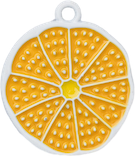 Cartoon Fruit Summer Charm Collection