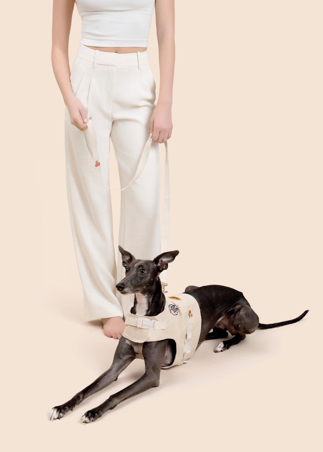 Customizable Dog Harness Set