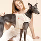 Customizable Dog Harness Set