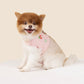 Customizable Dog Harness Set