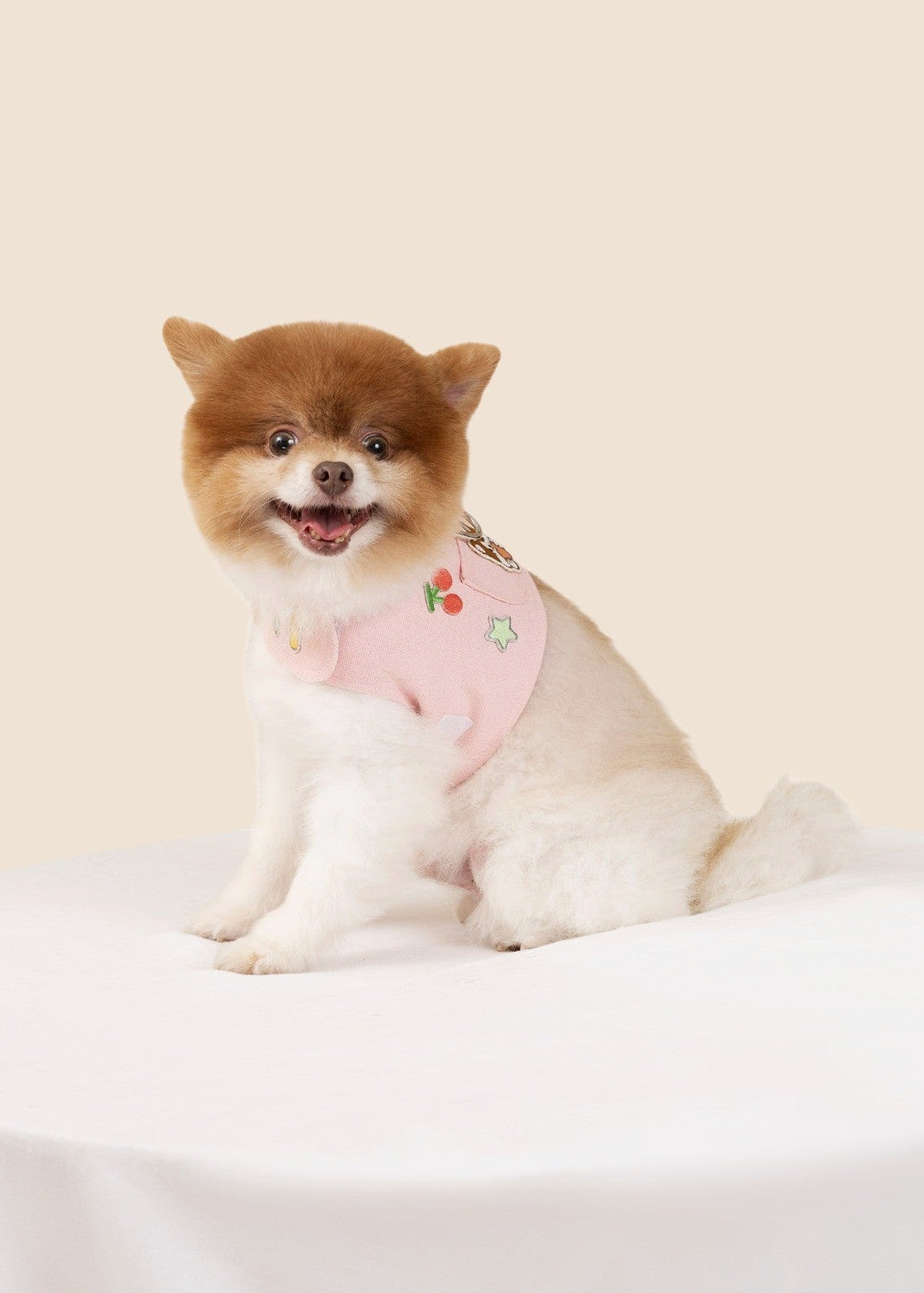 Customizable Dog Harness Set