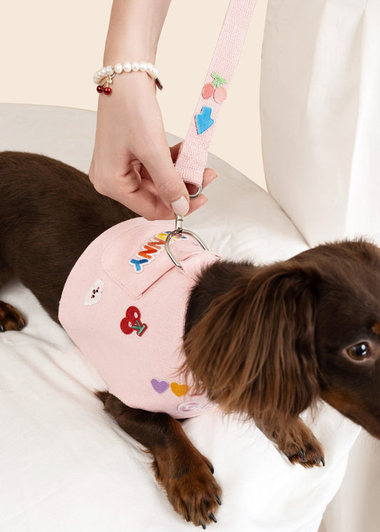 Customizable Dog Harness Set