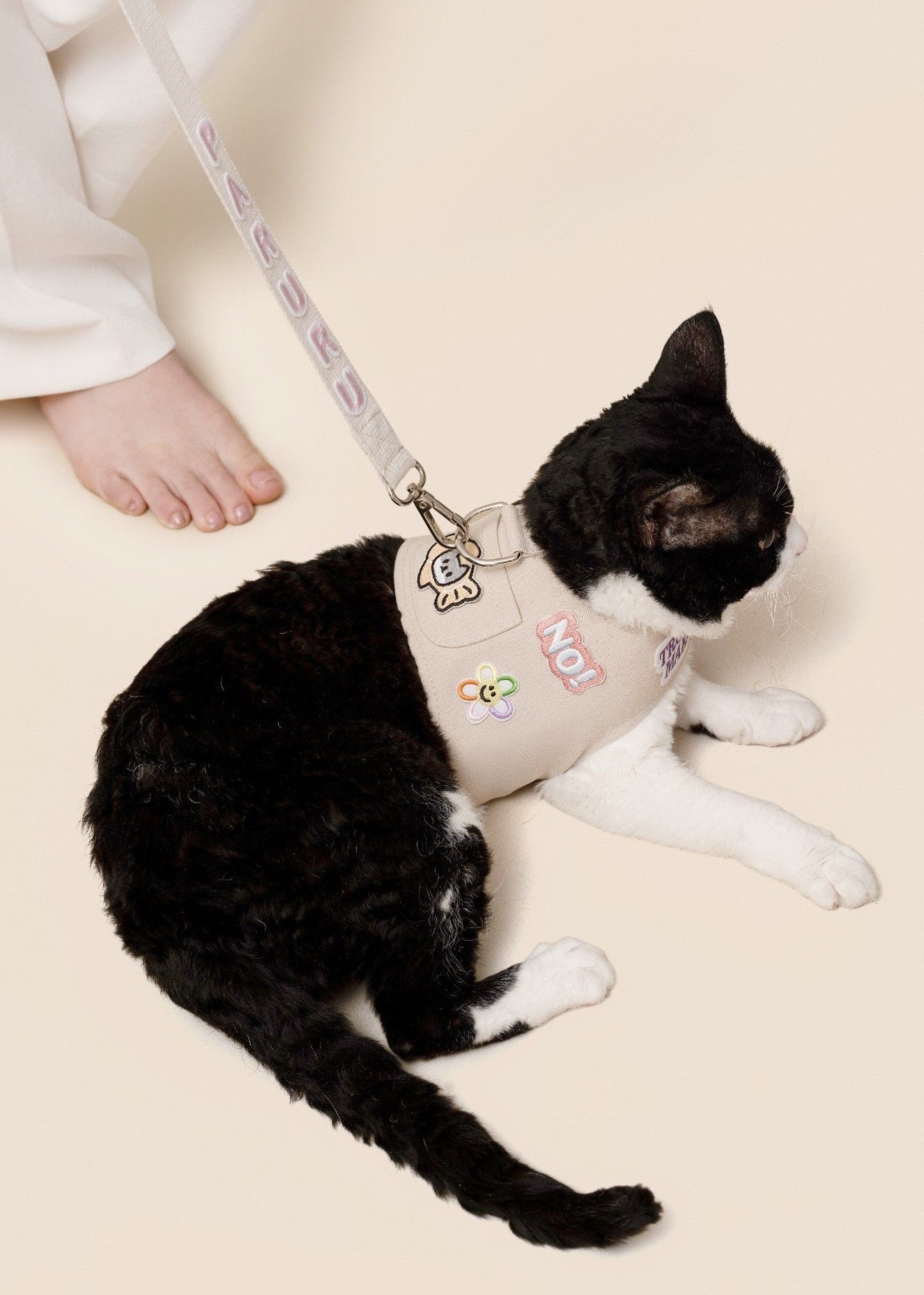Customizable Cat Harness Set
