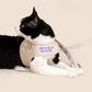 Customizable Cat Harness Set