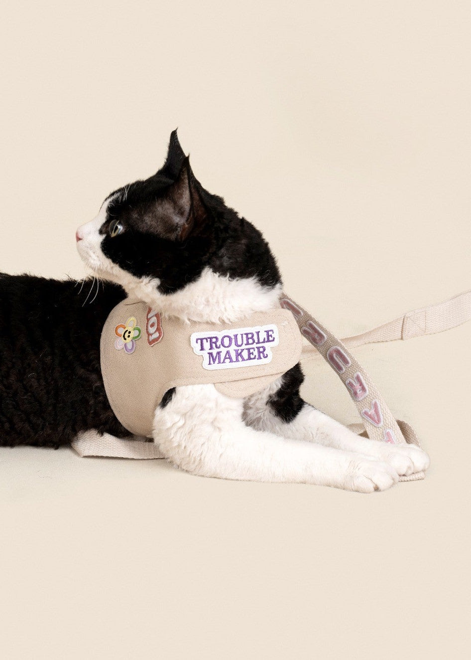 Customizable Cat Harness Set