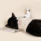 Customizable Cat Harness Set