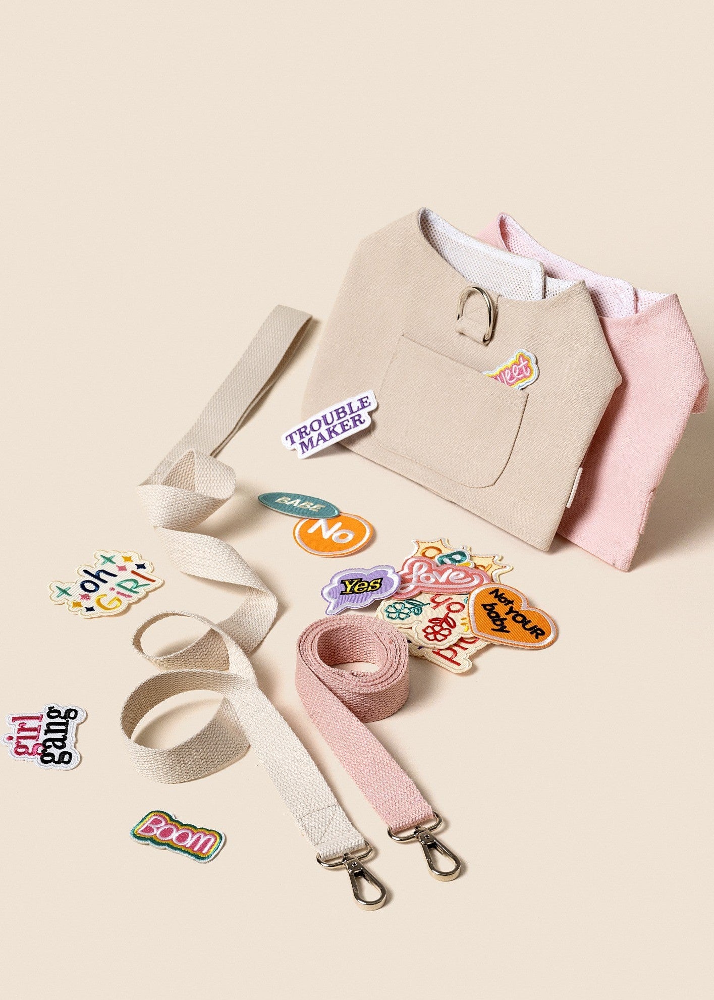 Customizable Dog Harness Set