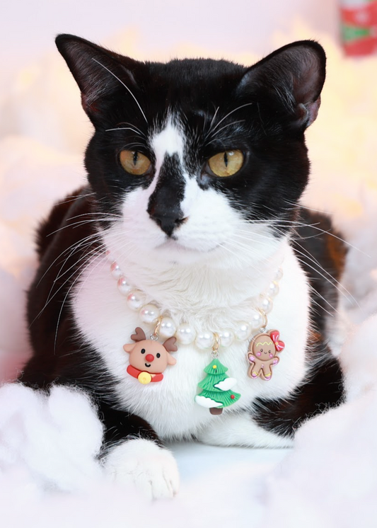 Breakaway Faux Pearl Necklace for Cats