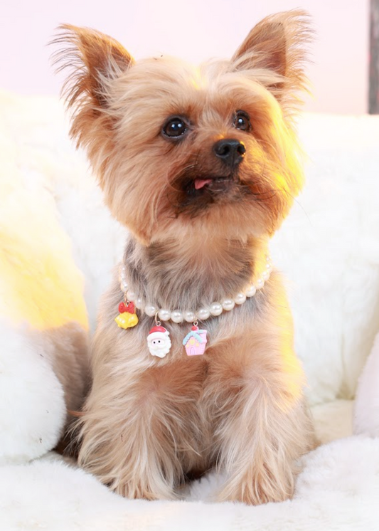 Customizable Faux Pearl Necklace for Dogs