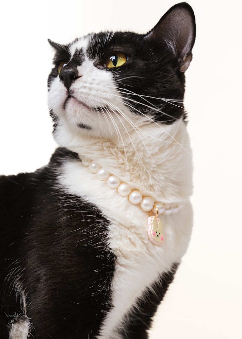Customizable Freshwater Pearl Necklace for Cats