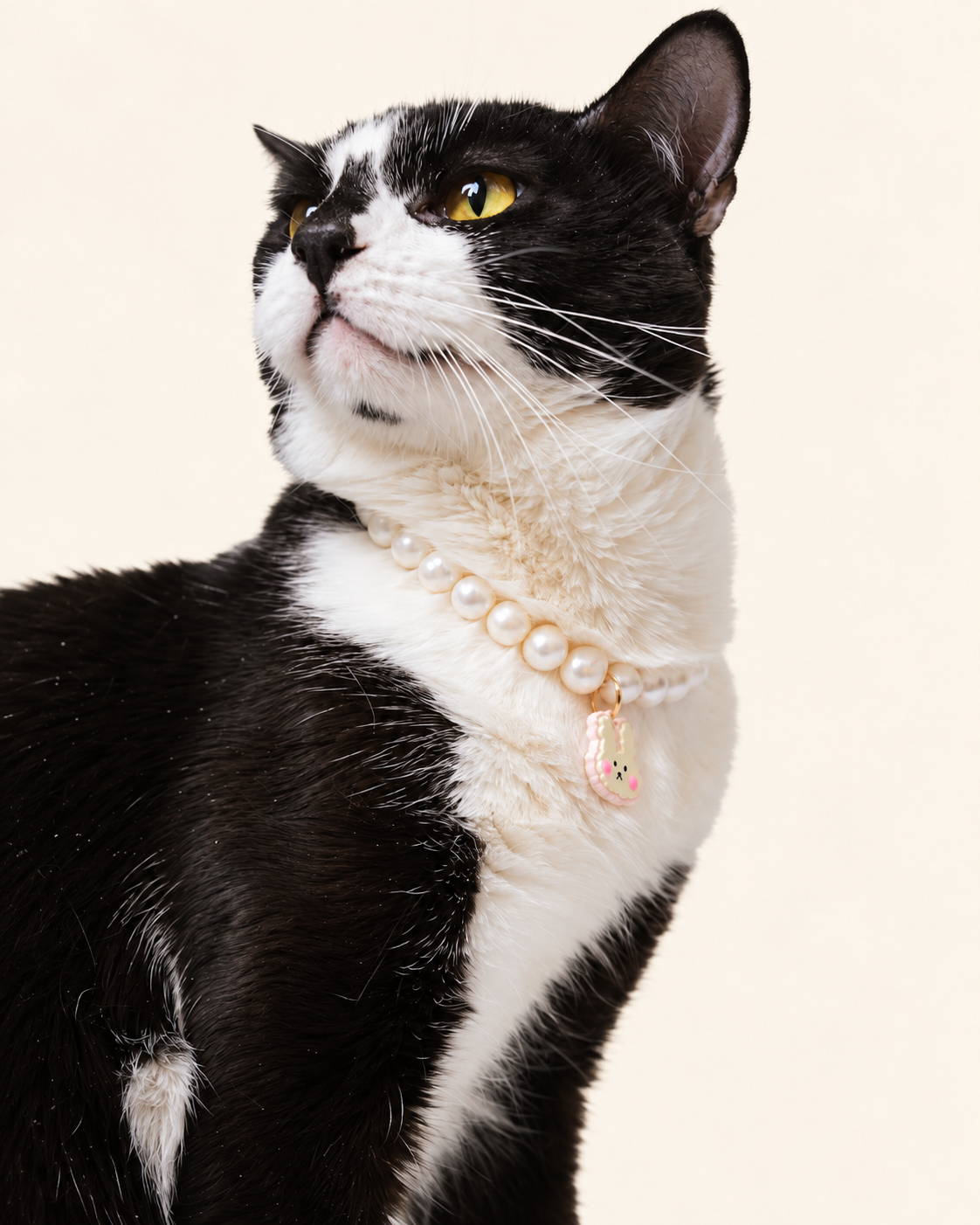 Tuxedo cat wearing a freshwater pearl necklace with a charm