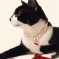Tuxedo cat beside a red rose wearing a freshwater pearl necklace with a cherry charm