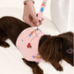 Clipping the leash onto a pink harness with patches