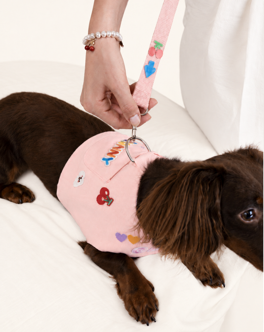 Clipping the leash onto a pink harness with patches