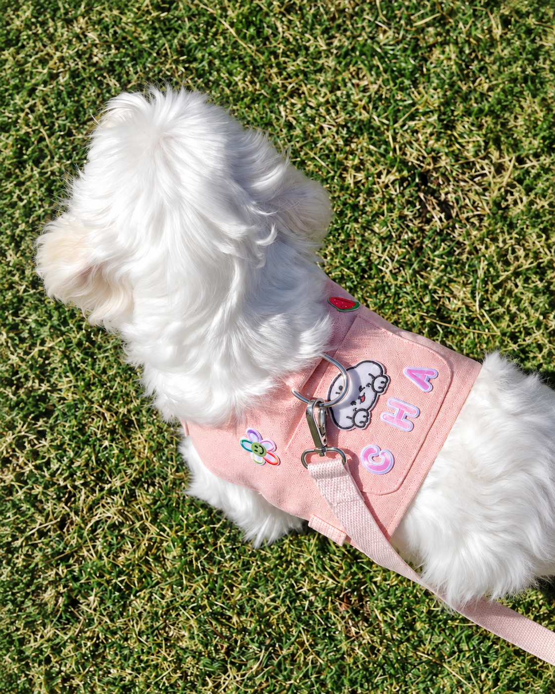 Pink harness with letter patches