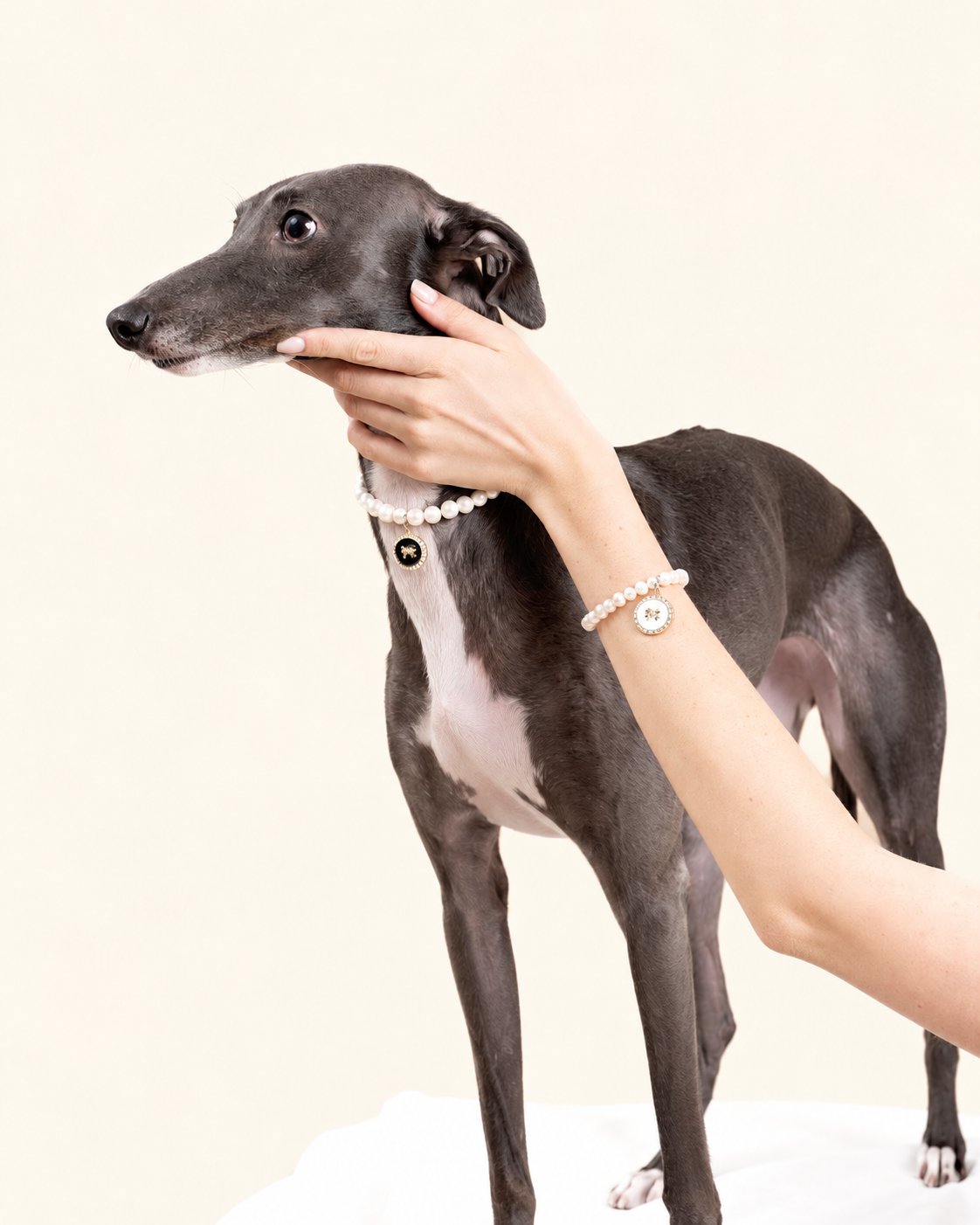 Woman's hand in a faux pearl bracelet resting on a greyhound in a matching pearl necklace