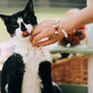 Tuxedo cat in a pearl necklace with charms, petted by its owner wearing a matching faux pearl bracelet