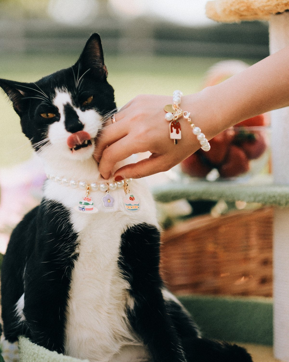 Tuxedo cat in a pearl necklace with charms, petted by its owner wearing a matching faux pearl bracelet
