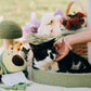 Owner in a faux pearl bracelet petting her tuxedo cat in a matching pearl necklace at a picnic