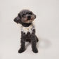 Pearl Bowtie Scarf For Dog/Cat