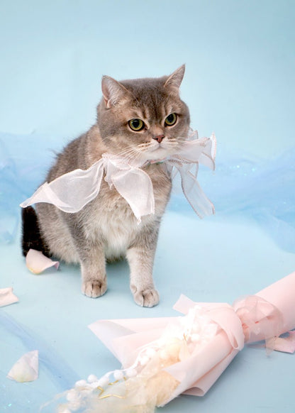 Twinkle Star Teaser Bouquet