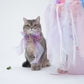 Butterfly Bowtie Collar For Cat
