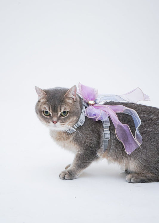 Gradient Mesh Butterfly Harness For Cat (leash included)