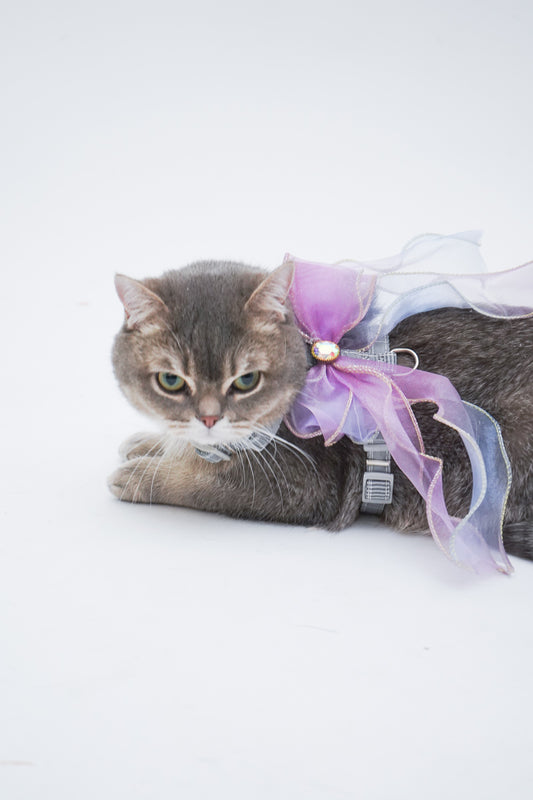 Gradient Mesh Butterfly Harness For Cat (leash included)