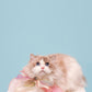 Butterfly Bowtie Collar For Cat